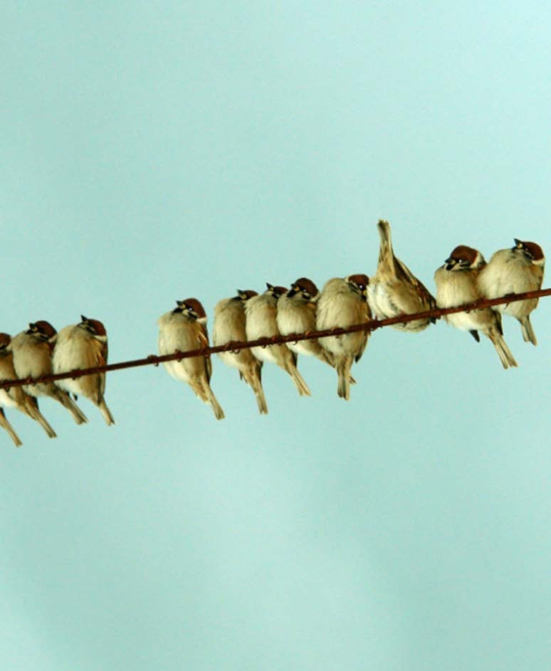 Decisões cruciais 027