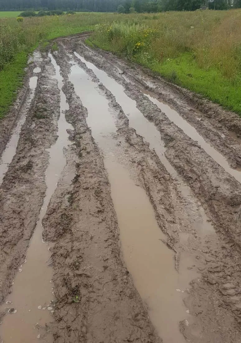 Дорога 039