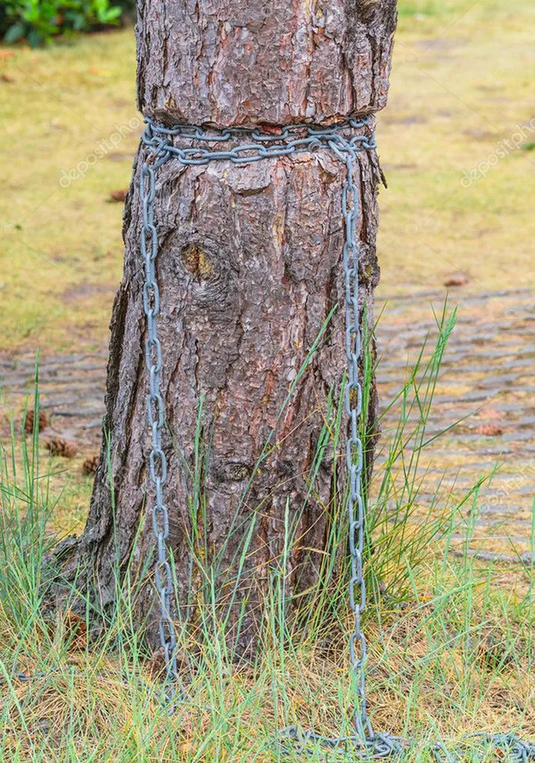 Tree as a Metaphor 017