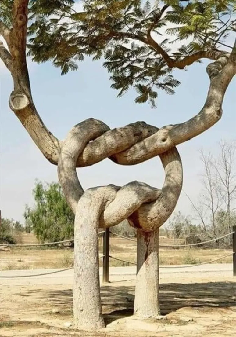 Tree as a Metaphor 019