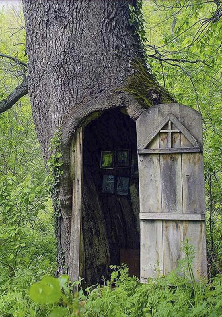 Tree as a Metaphor 023