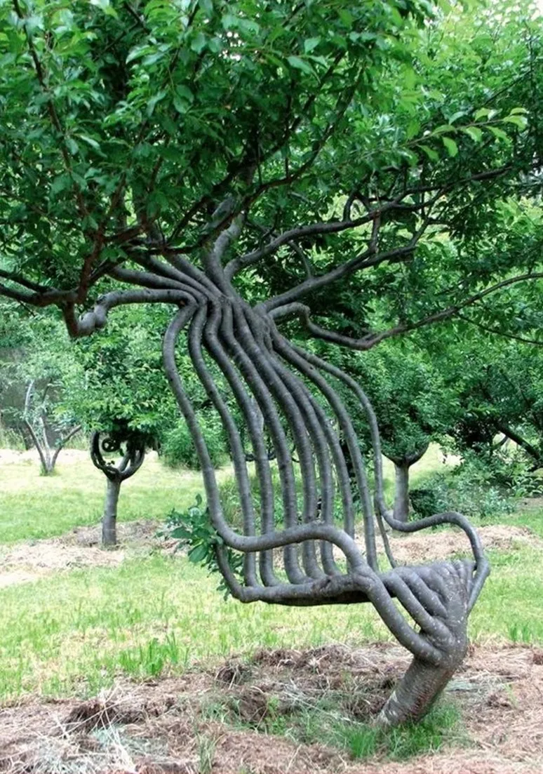 Tree as a Metaphor 029