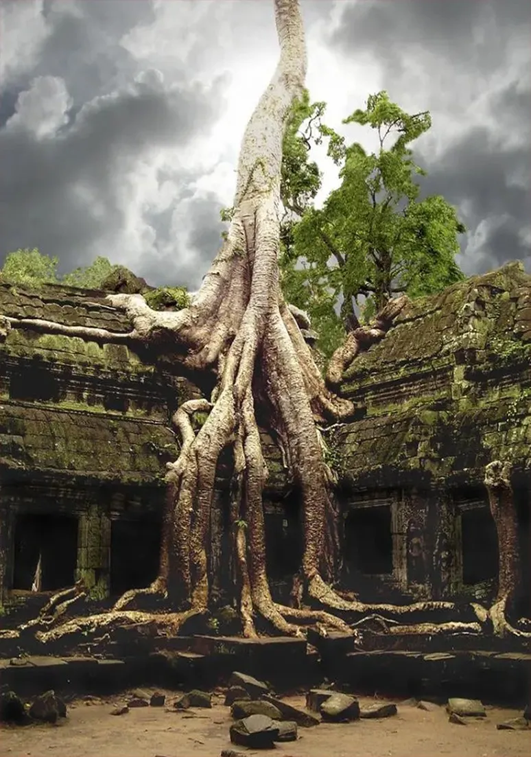 Tree as a Metaphor 046