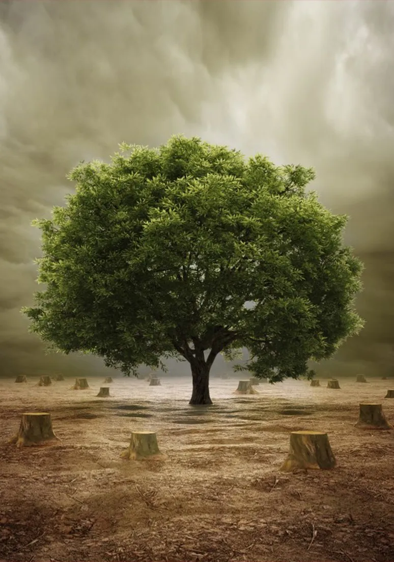 Tree as a Metaphor 048