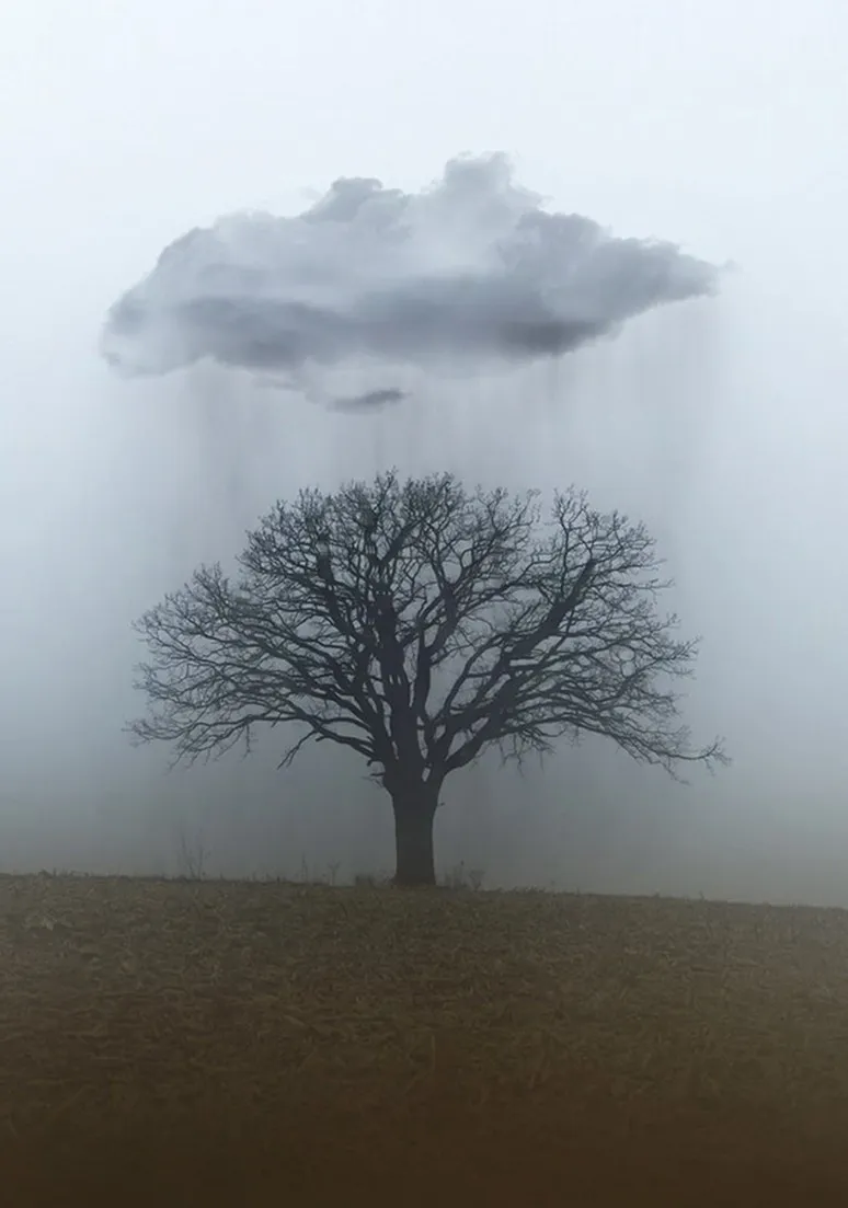 Tree as a Metaphor 050
