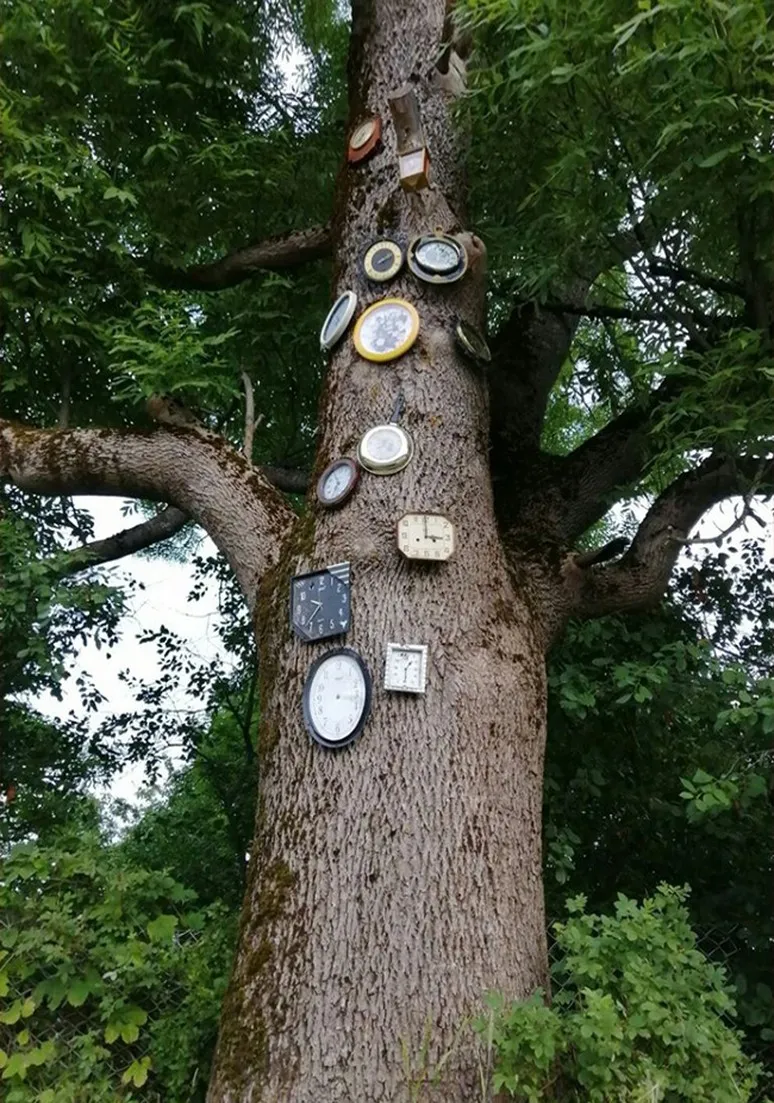 Tree as a Metaphor 054