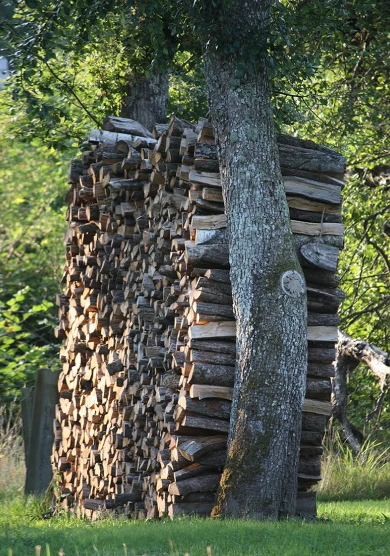 Tree as a Metaphor 055