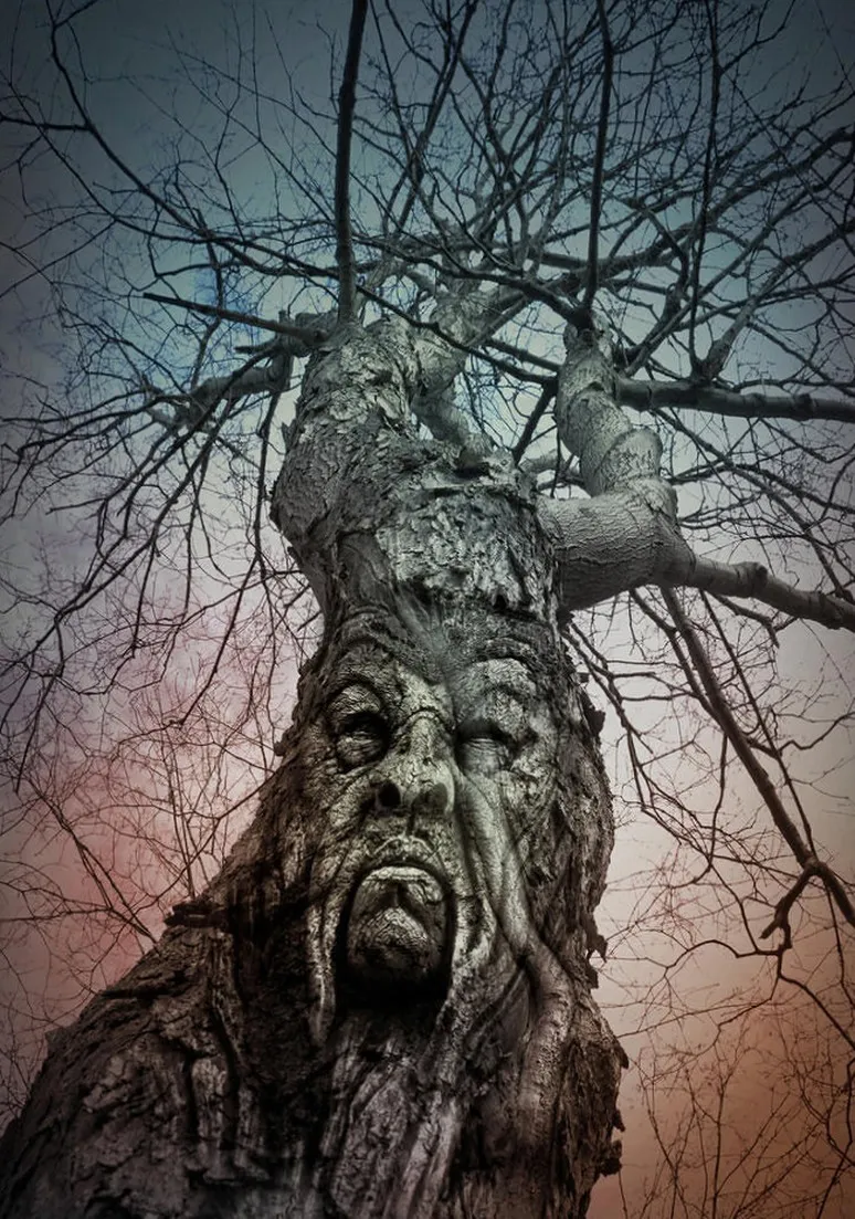 Tree as a Metaphor 061
