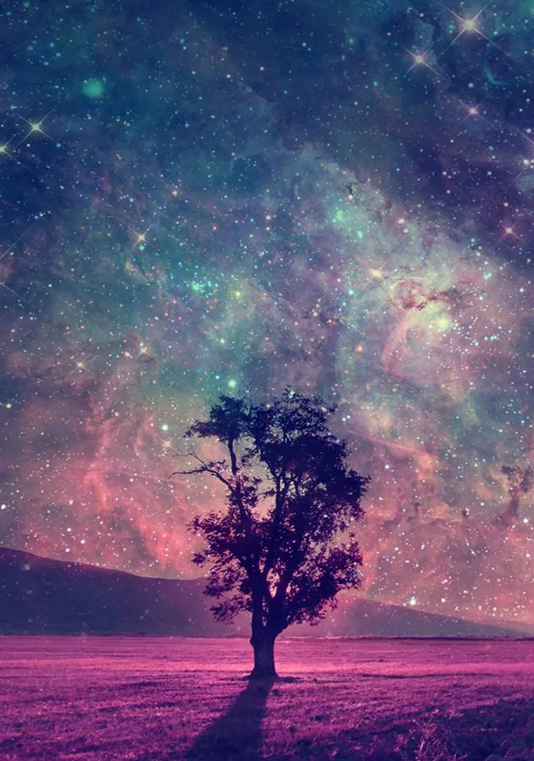 Tree as a Metaphor 069