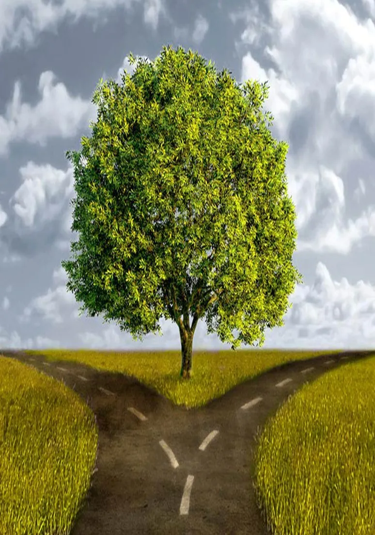 Tree as a Metaphor 088